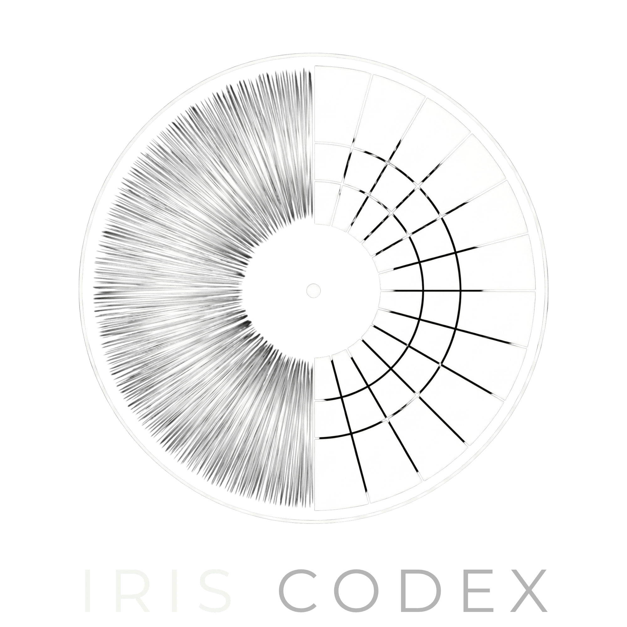 Iris Codex